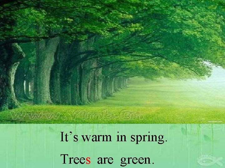 It’s warm in spring. Trees are green. 