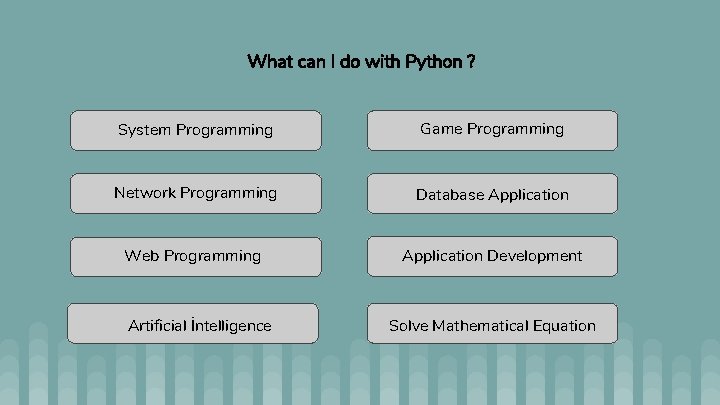 What can I do with Python ? System Programming Game Programming Network Programming Database