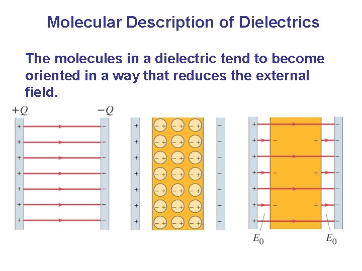 Molecular Description of Dielectrics The molecules in a dielectric tend to become oriented in