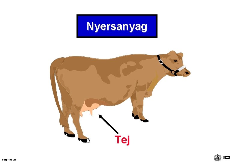 Nyersanyag Tej basprinc 28 Nyersanyag Tej basprinc 28