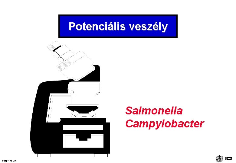 Potenciális veszély Salmonella Campylobacter basprinc 29 Potenciális veszély Salmonella Campylobacter basprinc 29