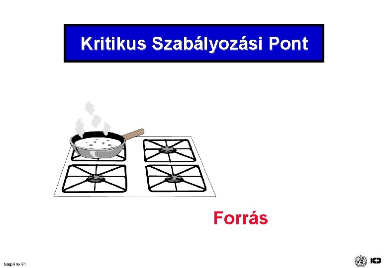 Kritikus Szabályozási Pont Forrás basprinc 31 Kritikus Szabályozási Pont Forrás basprinc 31