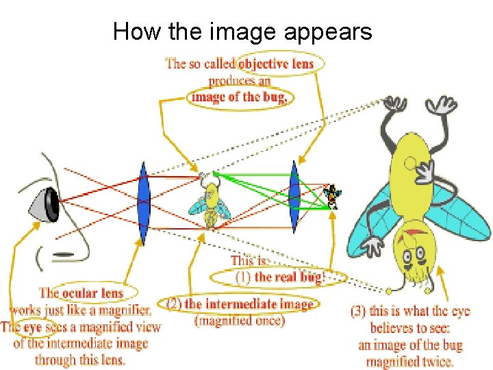 How the image appears 