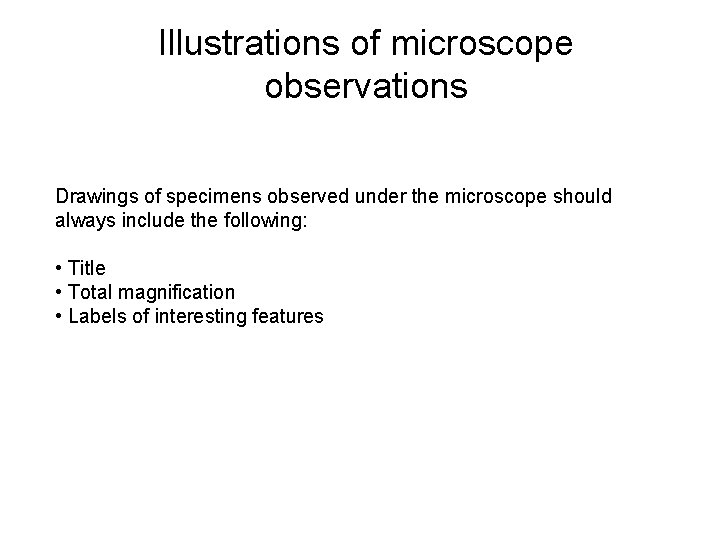 Illustrations of microscope observations Drawings of specimens observed under the microscope should always include
