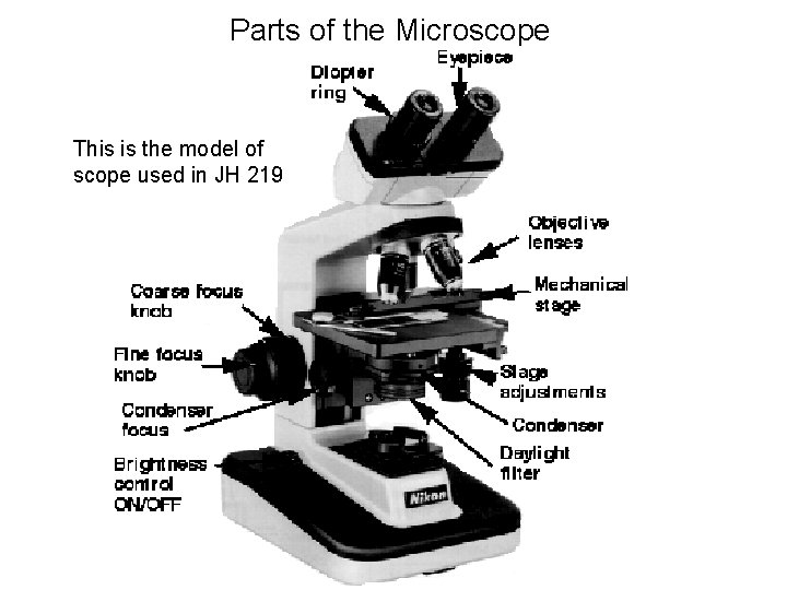 Parts of the Microscope This is the model of scope used in JH 219