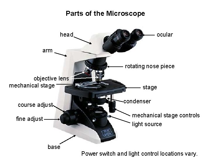 Parts of the Microscope head ocular arm rotating nose piece objective lens mechanical stage