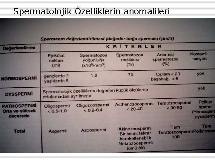 Spermatolojik Özelliklerin anomalileri 