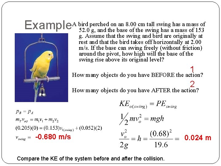 perched on an 8. 00 cm tall swing has a mass of Example. A