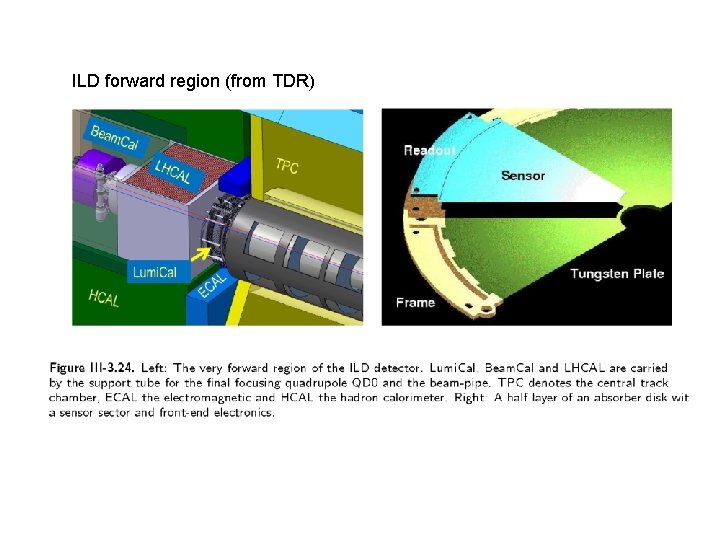 ILD forward region (from TDR) 