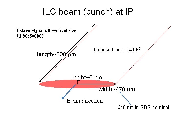 ILC beam (bunch) at IP Extremely small vertical size （1: 80: 50000） length~300 mm