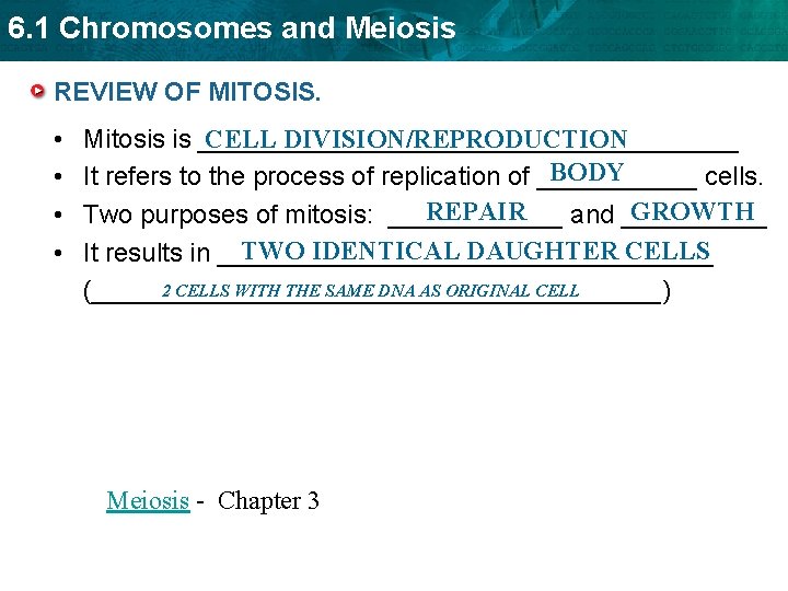 6. 1 Chromosomes and Meiosis REVIEW OF MITOSIS. • • CELL DIVISION/REPRODUCTION Mitosis is 6. 1 Chromosomes and Meiosis REVIEW OF MITOSIS. • • CELL DIVISION/REPRODUCTION Mitosis is