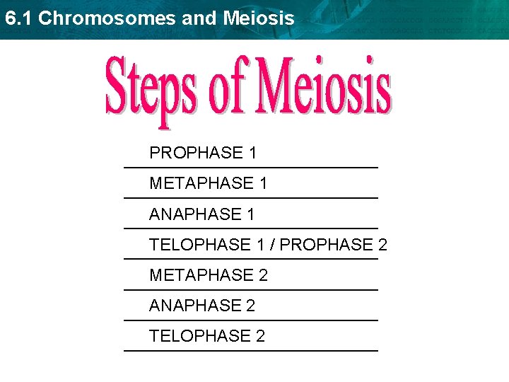 6. 1 Chromosomes and Meiosis PROPHASE 1 __________________ METAPHASE 1 __________________ ANAPHASE 1 __________________