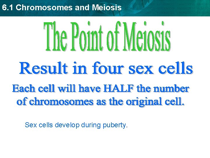6. 1 Chromosomes and Meiosis Sex cells develop during puberty. 6. 1 Chromosomes and Meiosis Sex cells develop during puberty.
