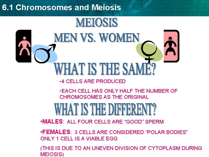 6. 1 Chromosomes and Meiosis • 4 CELLS ARE PRODUCED • EACH CELL HAS 6. 1 Chromosomes and Meiosis • 4 CELLS ARE PRODUCED • EACH CELL HAS