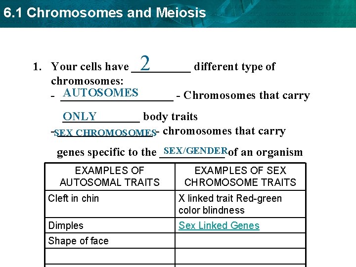 6. 1 Chromosomes and Meiosis 2 1. Your cells have _____ different type of