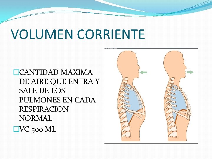 VOLUMEN CORRIENTE �CANTIDAD MAXIMA DE AIRE QUE ENTRA Y SALE DE LOS PULMONES EN