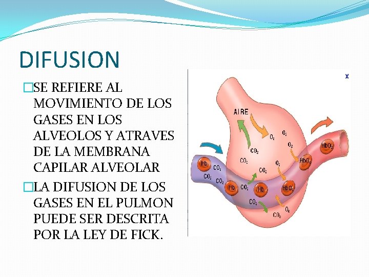 DIFUSION �SE REFIERE AL MOVIMIENTO DE LOS GASES EN LOS ALVEOLOS Y ATRAVES DE