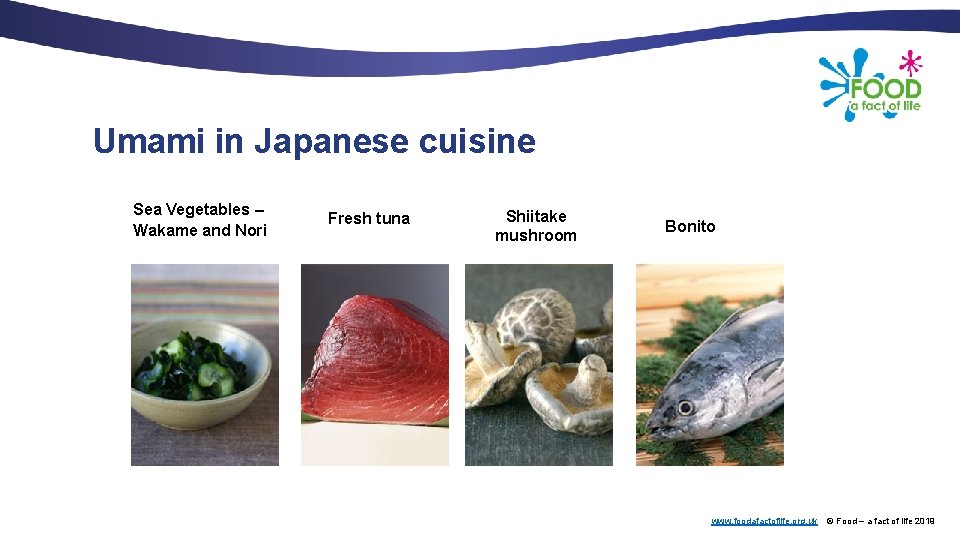 Umami in Japanese cuisine Sea Vegetables – Wakame and Nori Fresh tuna Shiitake mushroom