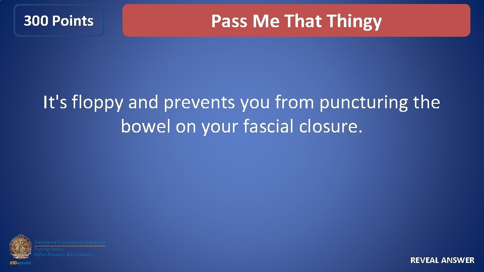 300 Points Pass Me That Thingy It's floppy and prevents you from puncturing the