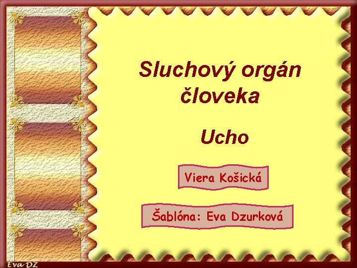 Sluchový orgán človeka Ucho Viera Košická Šablóna: Eva Dzurková 
