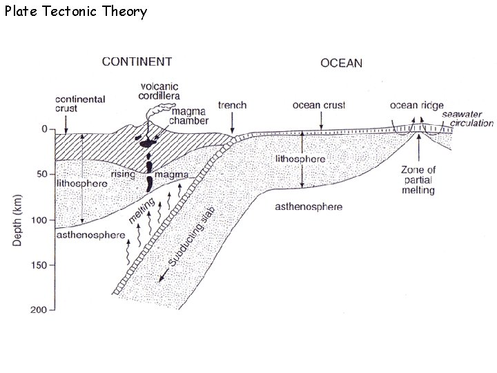 Plate Tectonic Theory 