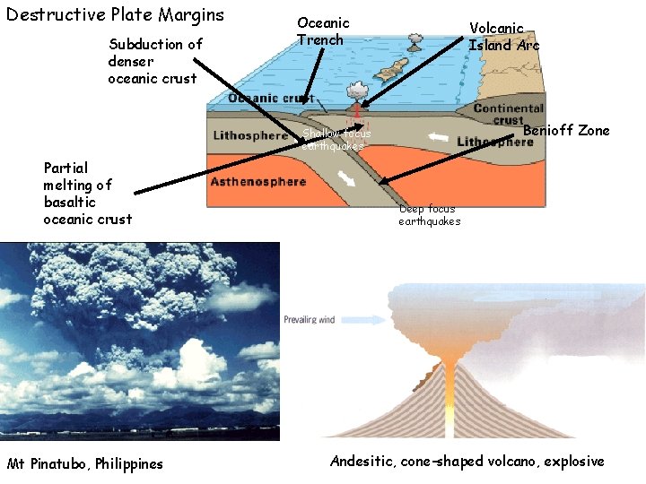 Destructive Plate Margins Subduction of denser oceanic crust Oceanic Trench Volcanic Island Arc Benioff