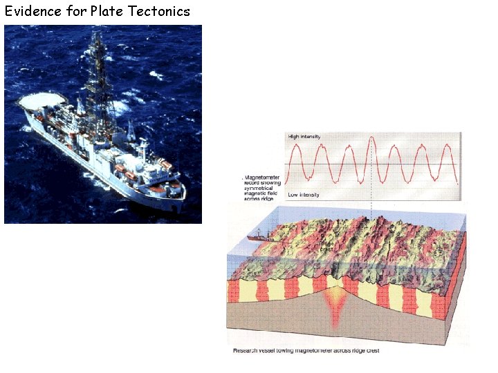 Evidence for Plate Tectonics 