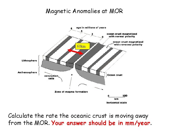 Magnetic Anomalies at MOR 60 km Calculate the rate the oceanic crust is moving