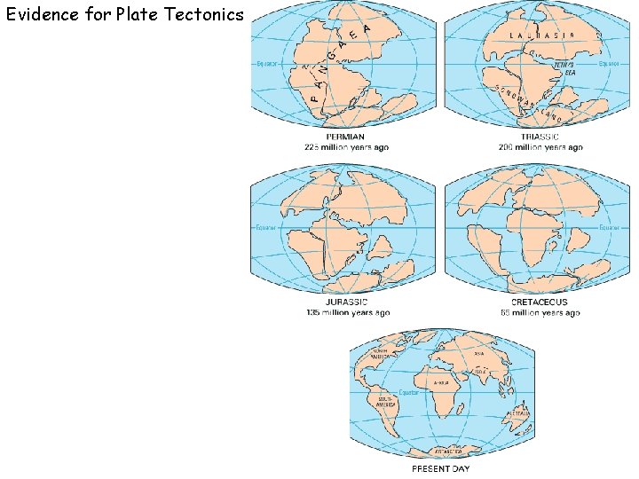Evidence for Plate Tectonics 