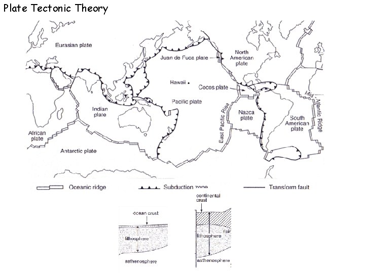 Plate Tectonic Theory 