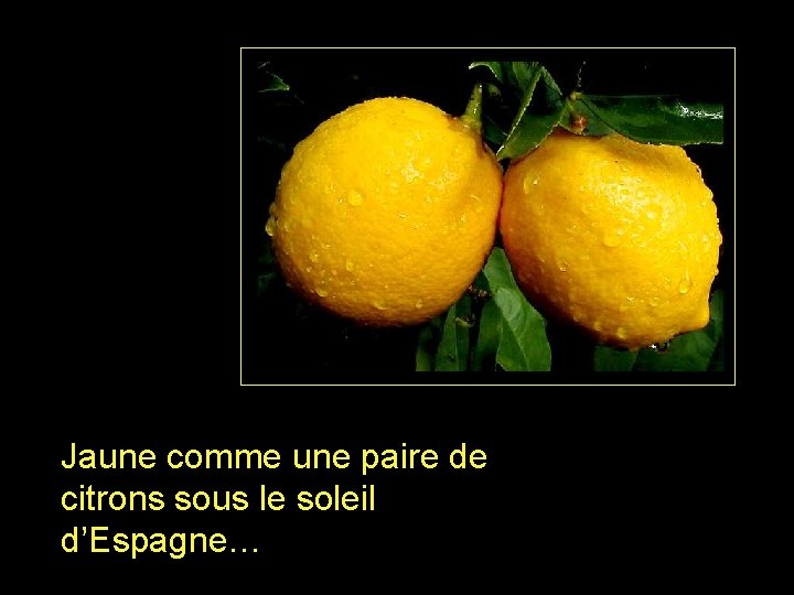 Jaune comme une paire de citrons sous le soleil d’Espagne… 