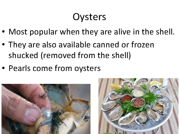 Oysters • Most popular when they are alive in the shell. • They are Oysters • Most popular when they are alive in the shell. • They are