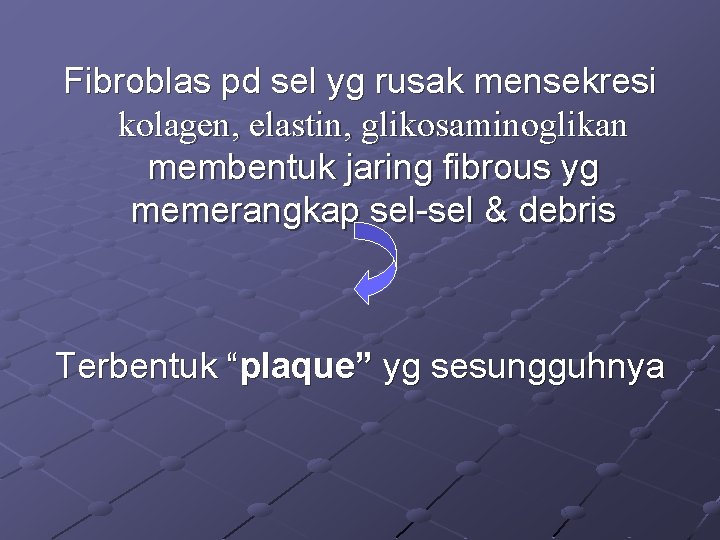 Fibroblas pd sel yg rusak mensekresi kolagen, elastin, glikosaminoglikan membentuk jaring fibrous yg memerangkap