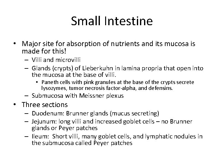 Small Intestine • Major site for absorption of nutrients and its mucosa is made