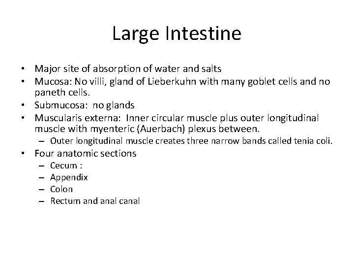 Large Intestine • Major site of absorption of water and salts • Mucosa: No