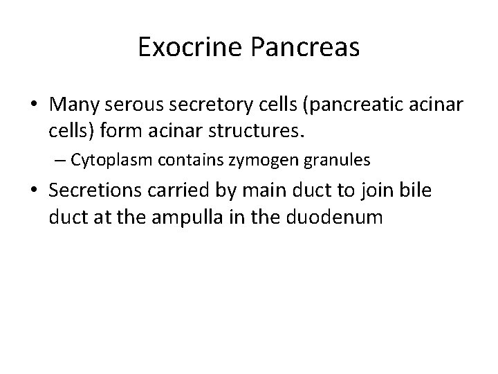 Exocrine Pancreas • Many serous secretory cells (pancreatic acinar cells) form acinar structures. –