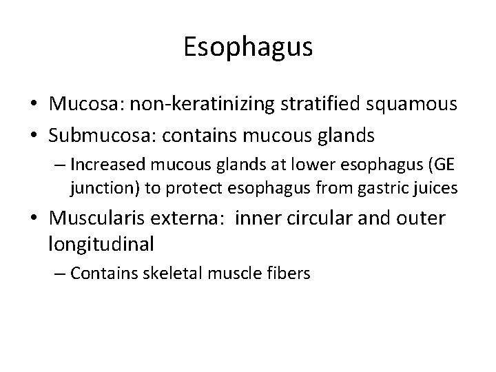 Esophagus • Mucosa: non-keratinizing stratified squamous • Submucosa: contains mucous glands – Increased mucous