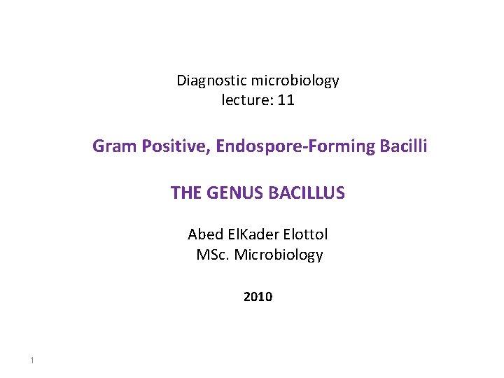 Diagnostic microbiology lecture: 11 Gram Positive, Endospore-Forming Bacilli THE GENUS BACILLUS Abed El. Kader