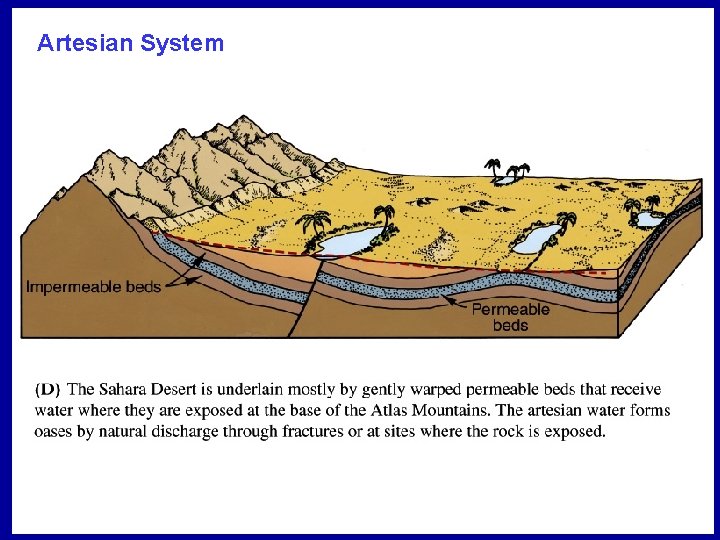 Artesian System 