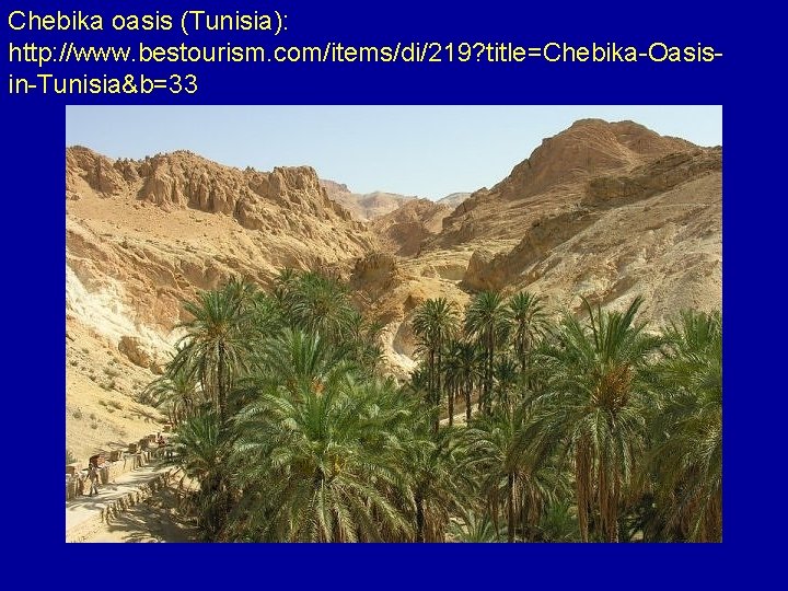 Chebika oasis (Tunisia): http: //www. bestourism. com/items/di/219? title=Chebika-Oasisin-Tunisia&b=33 