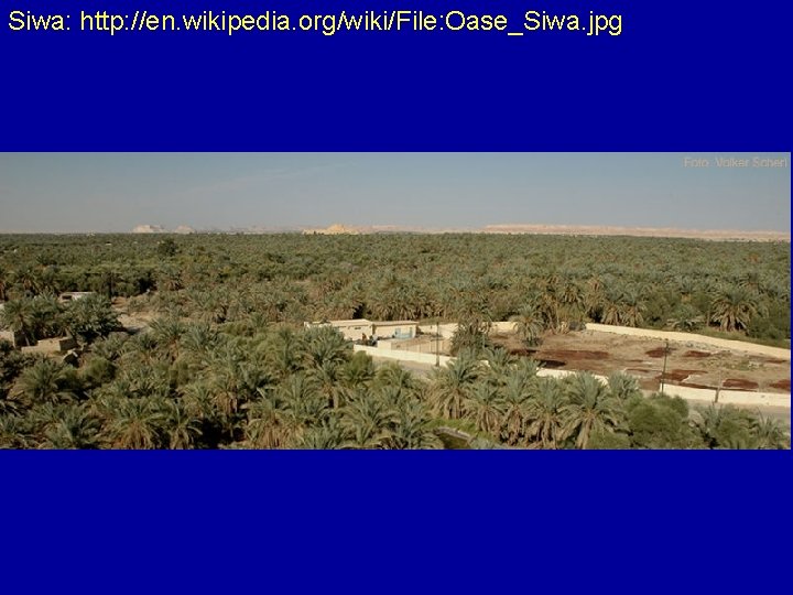 Siwa: http: //en. wikipedia. org/wiki/File: Oase_Siwa. jpg 