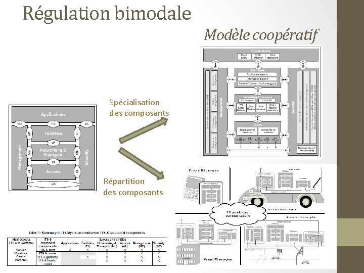 Régulation bimodale Modèle coopératif Spécialisation des composants Répartition des composants 