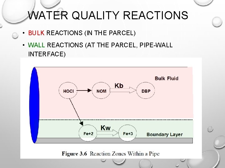 WATER QUALITY REACTIONS • BULK REACTIONS (IN THE PARCEL) • WALL REACTIONS (AT THE