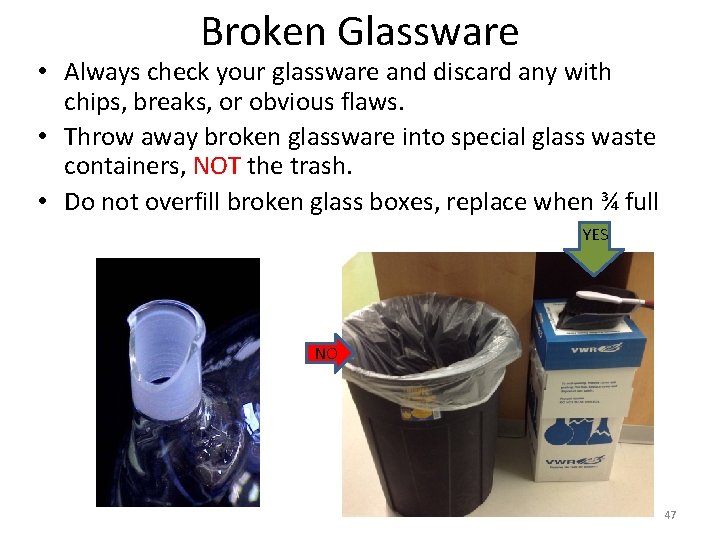 Broken Glassware • Always check your glassware and discard any with chips, breaks, or