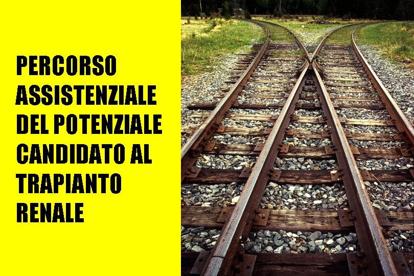 PERCORSO ASSISTENZIALE DEL POTENZIALE CANDIDATO AL TRAPIANTO RENALE 