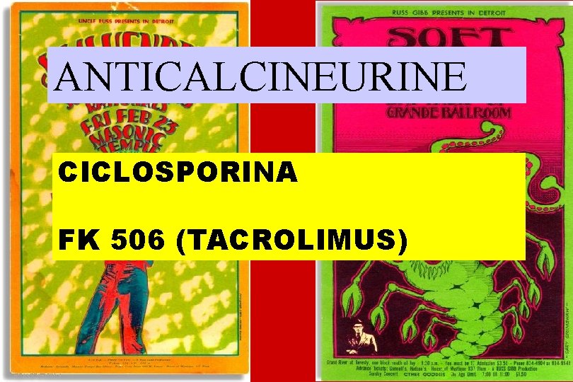 ANTICALCINEURINE CICLOSPORINA FK 506 (TACROLIMUS) 