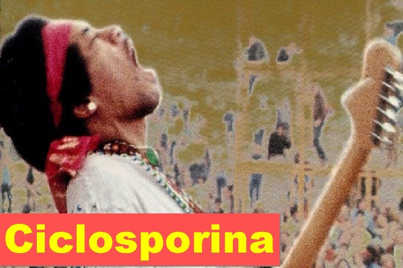 Ciclosporina 