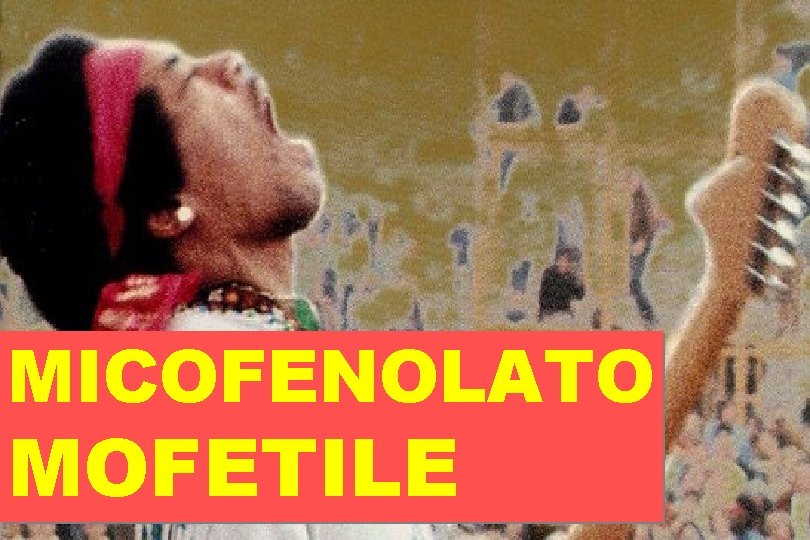 MICOFENOLATO MOFETILE 