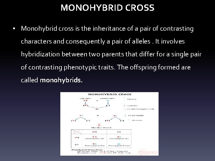 MONOHYBRID CROSS • Monohybrid cross is the inheritance of a pair of contrasting characters