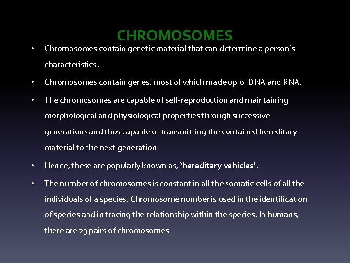 • CHROMOSOMES Chromosomes contain genetic material that can determine a person’s characteristics. •